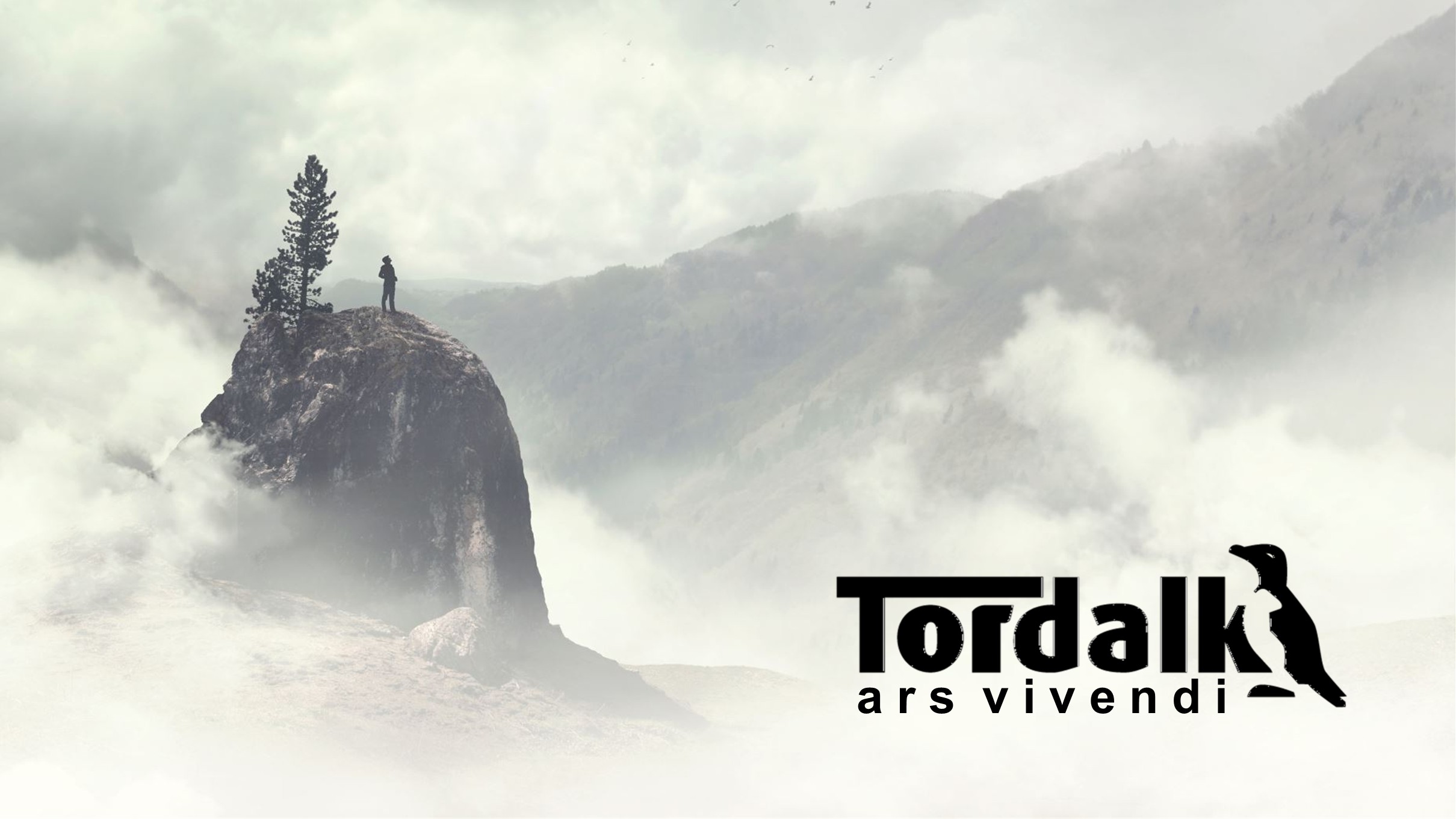 Tordalk im Einsatz